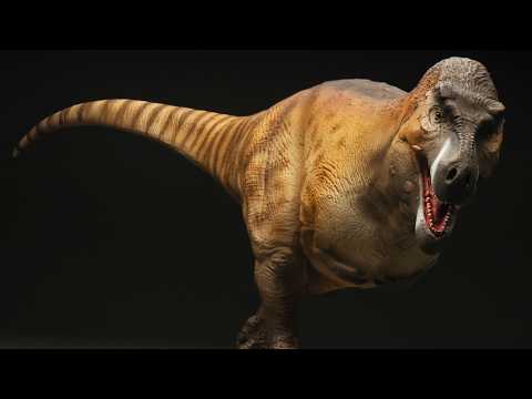 The Most Accurate T. rex Reconstruction So Far?