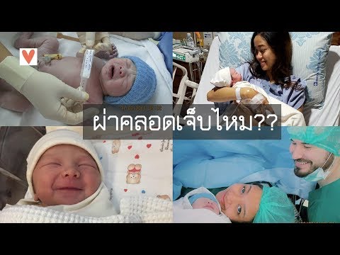 หน้าอกเล็กมุสลิม ทำไมเหมือนหน้าอกเล็ก