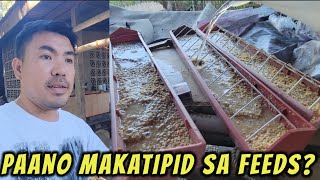 Paano maka tipid ng feeds sa mga sisiw?