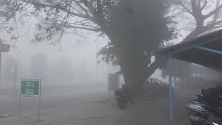 preview picture of video 'Today very fog in bhel haridwar #3'