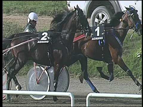 Trotto 07/10/2016 - 3ª corsa