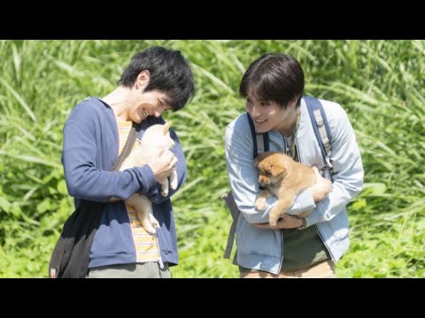 【浪浪好朋友】 DVD 2022/03/18 熱血發行