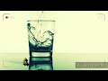 Best WhatsApp Status Rani Teri Vodka