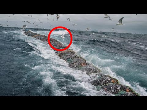 🔥MUST WATCH🔥 World's amazing Catching Fish with Modern Ships, Fish Processing Line 2021.