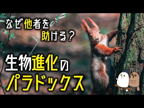 ツラノースについて詳しく解説