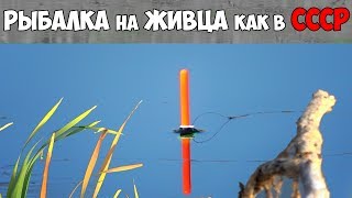 Ссылка
