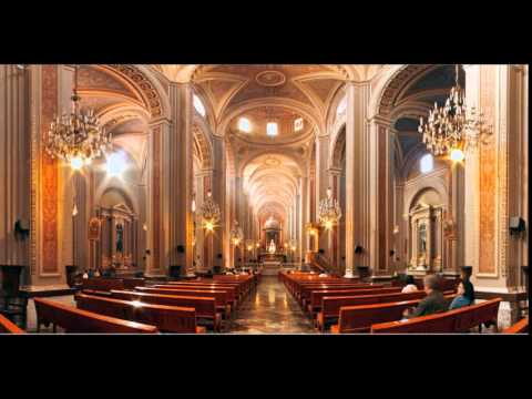 Evangelio  del  dia  29  de  Julio  de  2014