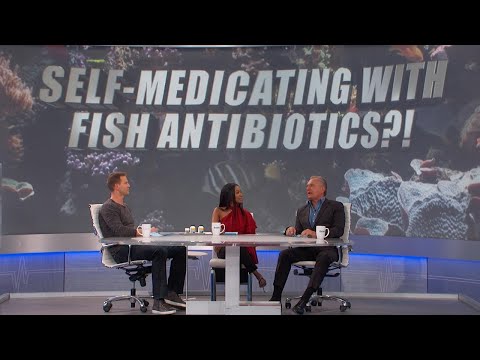 Amoxicillin 500mg For Fish