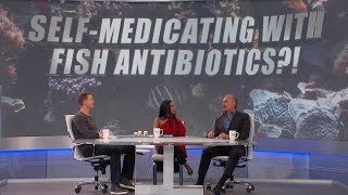 Self-Medicating with Fish Antibiotics