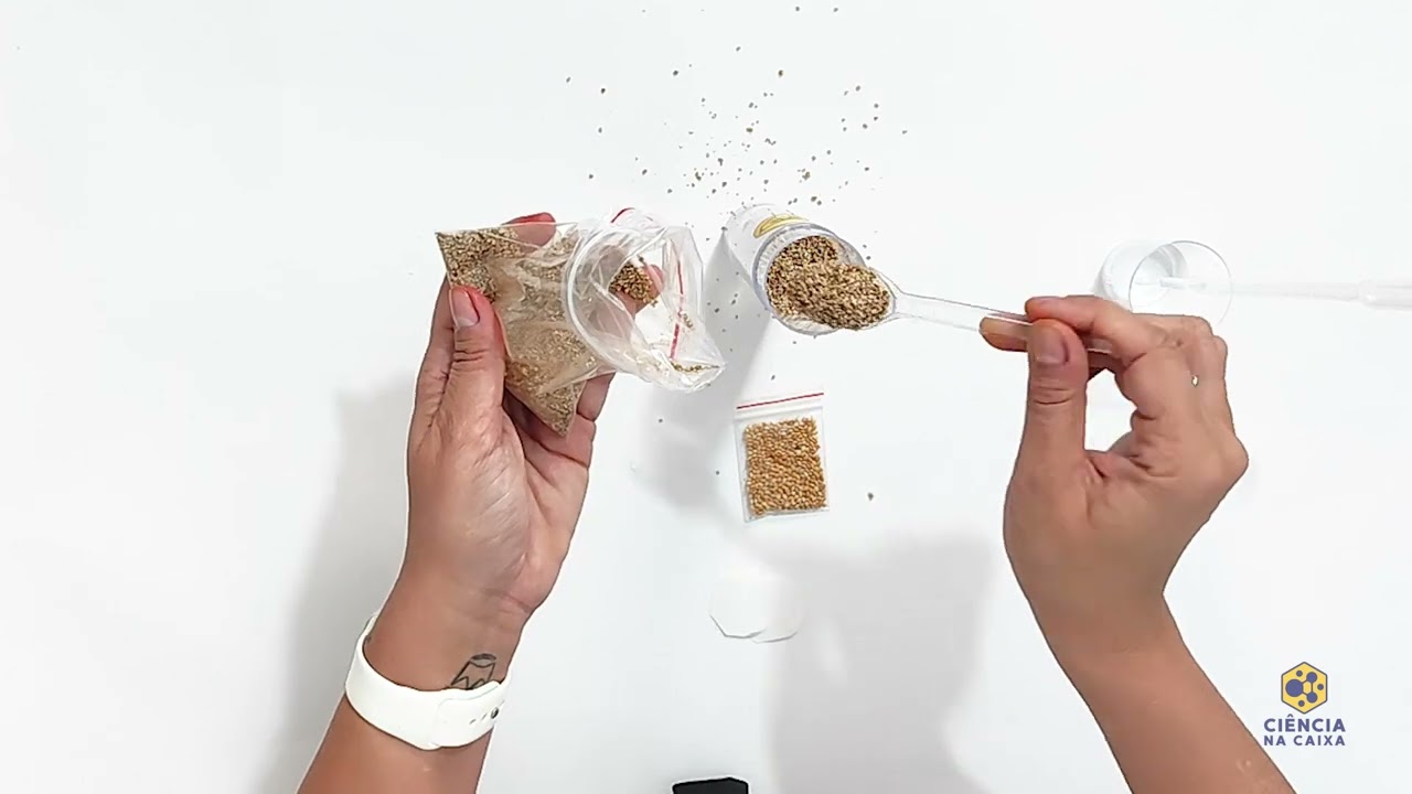 Boneco com Cabelo Verde