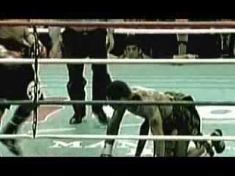 Larisa Dolina Kostya Tszyu