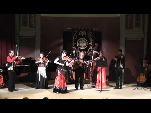 Violons Tziganes - Hora romina