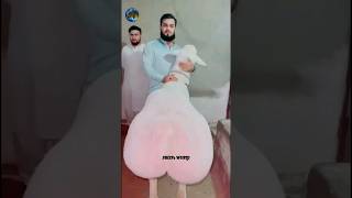 white beautiful dumba ✨ fat tailed sheep ➡ alya sheep