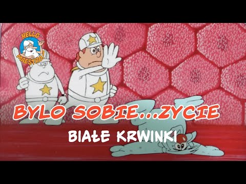 Bylo Sobie... Zycie 🌱 - Białe krwinki 🧘