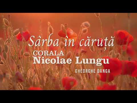 Sarba in caruta, Gheorghe Danga, Corala Nicolae Lungu, Dirijor Stelian Ionascu