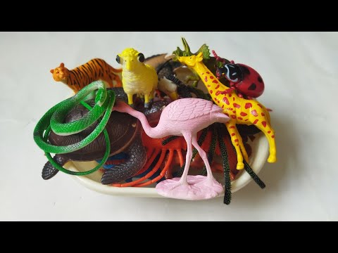 Zoo animal figure Unboxing and  Review-snake dinosaurus lion giraffe#asmr#shorts#unboxing#seaanimals