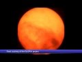 Total Solar Eclipse - 11/3/2013 - YouTube