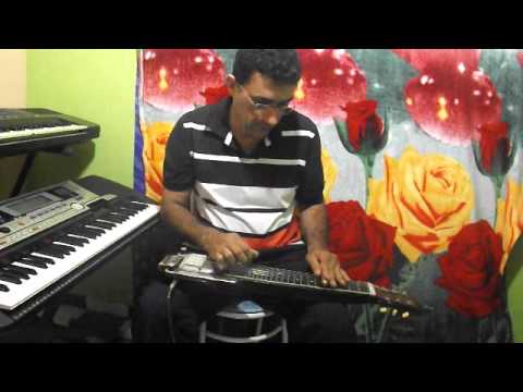 Deixai as Ilusões Guitarra Havaiana Lap Steel Guitar Harpa Cristã