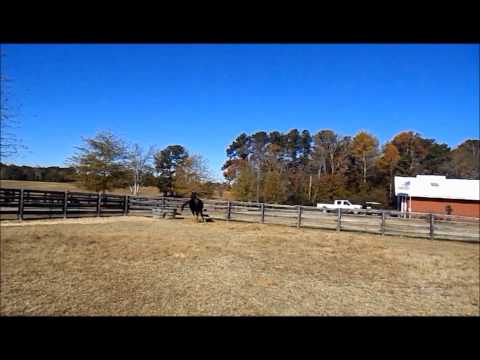 SLA Egyptian Fantasy