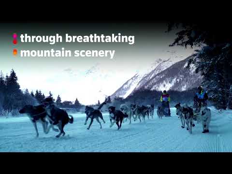 フランスアルプスの犬ぞりレース (A dog sled race in the French Alps)