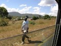 Scatterlings Of Africa
