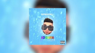 BREEZY X DJ EAGLE EYE - ADOUMA (Official Audio)