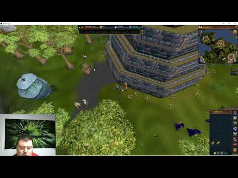 Runescape (RS3) quest:  Tower of Life