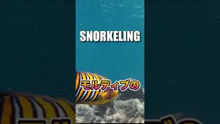 モルディブ🇲🇻マーフシ島　コスパ最強！家族旅行