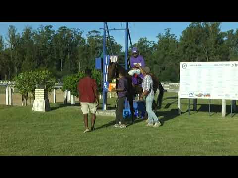 SINT MELO 210311_c06 1° MI ALAS