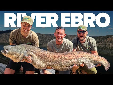 Carp and Catfishing for the RIVER EBRO MONSTERS