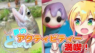 【どらめし！】計画ガバでも夏を全力満喫！【VOICEROID車載】