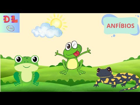 Anfíbios para crianças