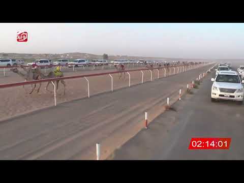  ش 6 (سراب) لـ عبدالله حمدان بالكيلة العامري 3:17 ، شارة الصندوق 2026/08/28 فطامين الجبيب