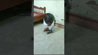 Download lagu So funny! Kuku wants to go to the market with his mother mp3 Download lagu So funny! Kuku wants to go to the market with his mother mp3