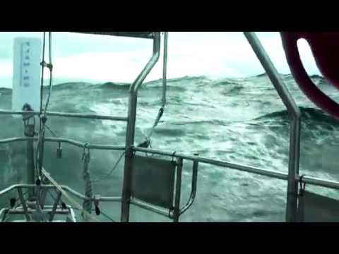 Jessica Watson Sees Land!