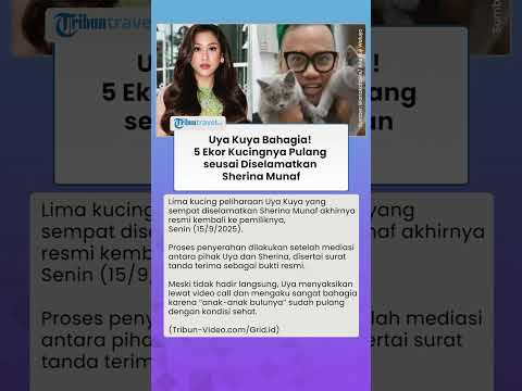 Uya Kuya Bahagia! 5 Ekor Kucingnya Pulang seusai Diselamatkan Sherina Munaf