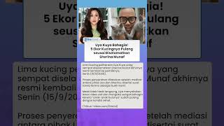 Uya Kuya Bahagia! 5 Ekor Kucingnya Pulang seusai Diselamatkan Sherina Munaf