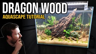 How to Create a Beginner Planted Aquarium (Step by Step Guide)