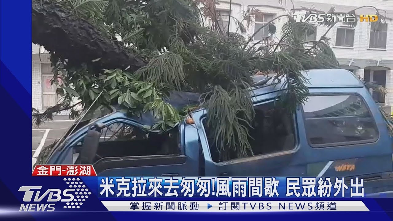 颳強風!路樹遭攔腰折斷 砸中1廂型車