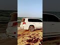V8 Power Land Cruiser Deep Sand V8 Shorts Carlover Prado