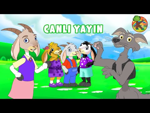 Türkçe - Çizgi Film & Çocuk Masalları - CANLI YAYIN | KONDOSAN