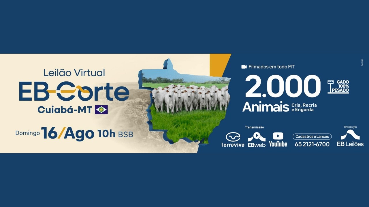 LEILÃO VIRTUAL EB CORTE MT | 16/08/2026 – 10H