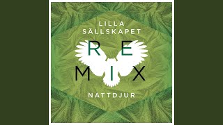 Din gård (Kodi Remix)