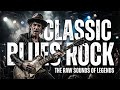 Stevie Ray Vaughan Blues Rock Nights rolling with Eric Clapton, B.B. King and Buddy Guy Groove