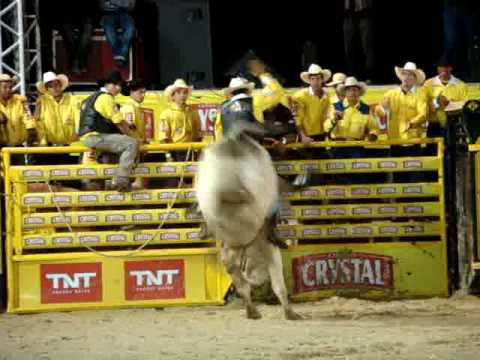 MARCELO SOUZA CRUZ - MONTARIA EM TOURO - BOITUVANA 2009.