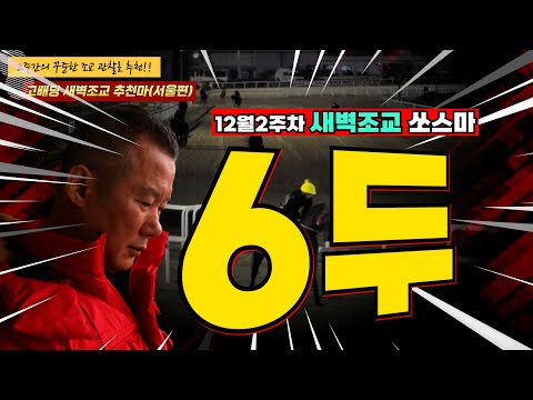 12월-강백호-2주차 경마주간!! 문세영 기수 낙마부상으로 기수 교체 주목해야!!2주
