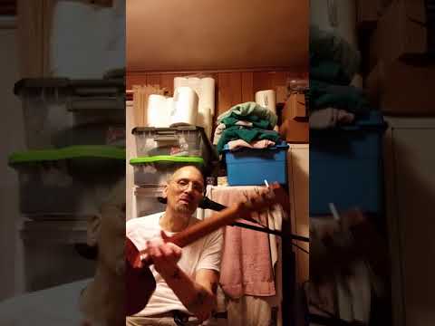 Baby Taylor & Little Martin