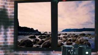 MoMuS I want you but i dont need you