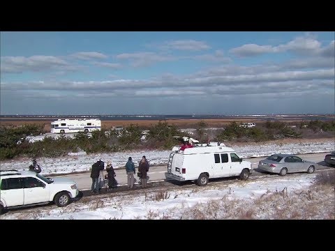 NY Long Island Serial Killer