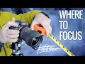 Where To Focus For Landscape Photography